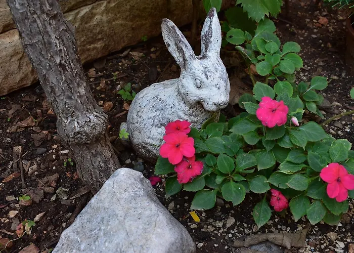 Apartments Zara Zara