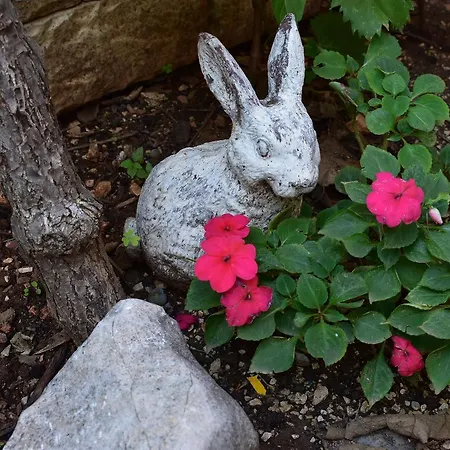 Apartments Zara Zadar