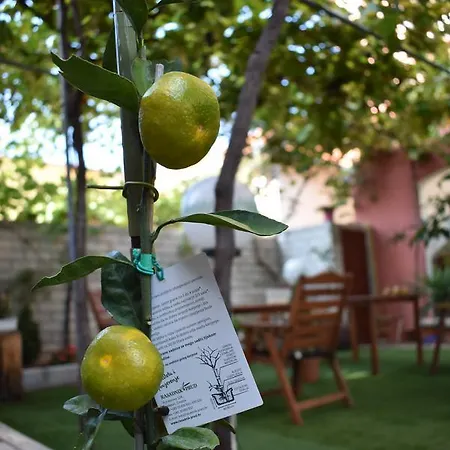 Apartments Zara Apartament *