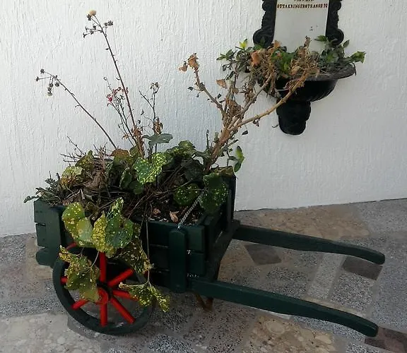 公寓 扎拉公寓 *