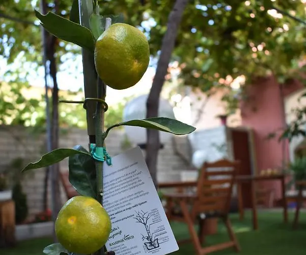 扎拉公寓 公寓 *